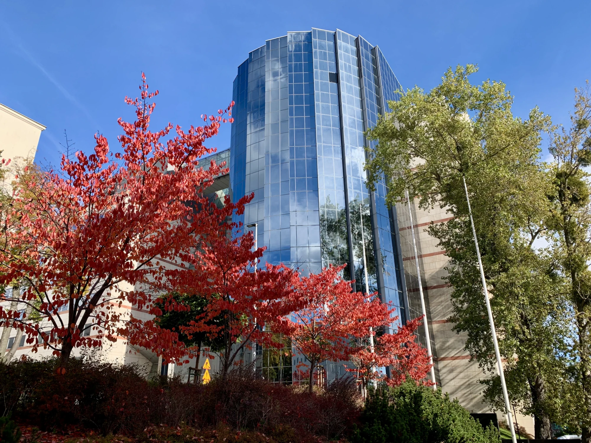 Biura na wynajem Gdynia - PODOLSKA 21