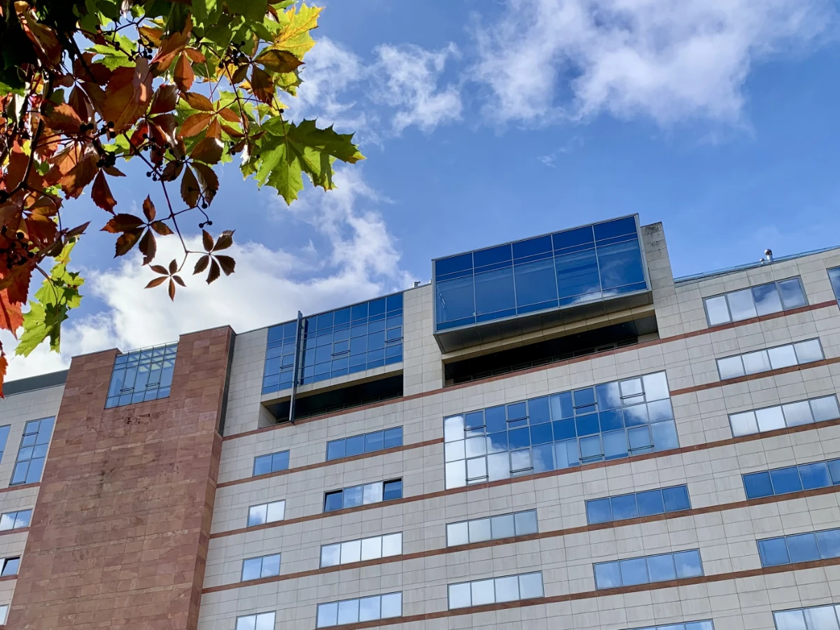 Biura na wynajem Gdynia - PODOLSKA 21